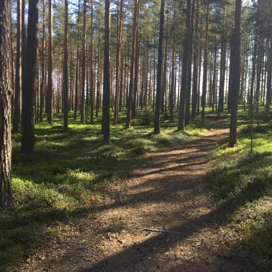 Stf Jaedraas Herrgard Kültér fotó